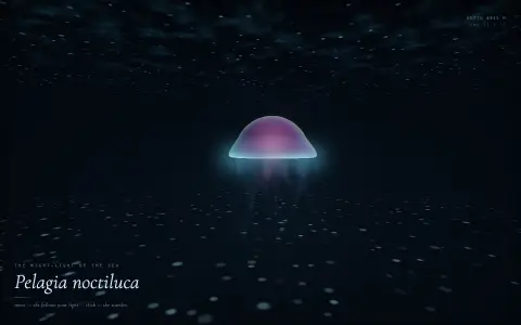 GLM 5.3 - Custom WebGL Shader