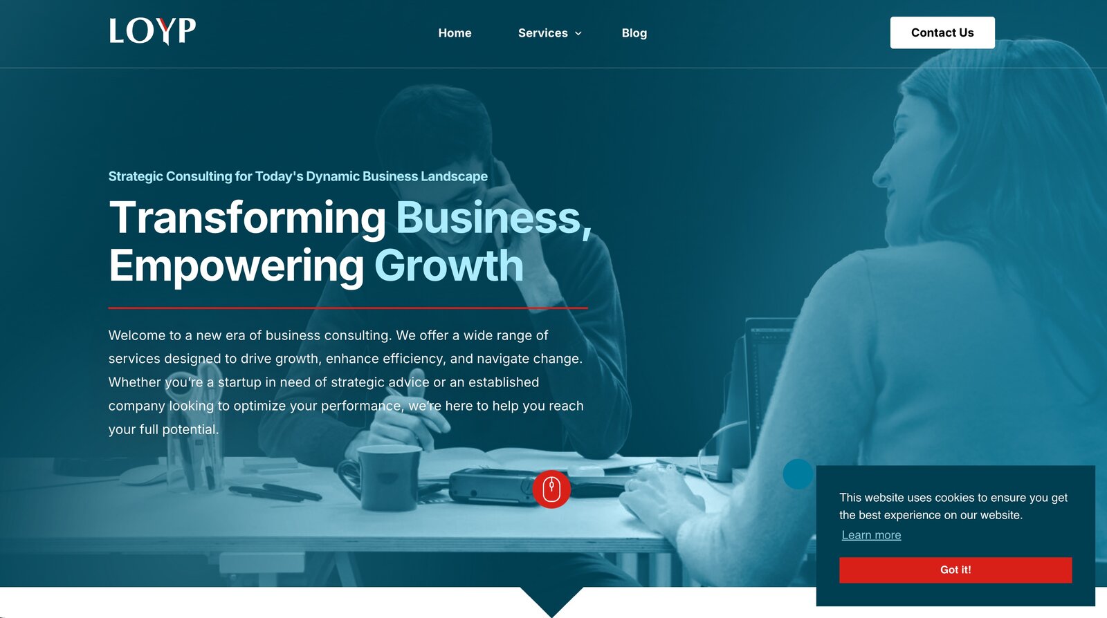 LOYP product interface